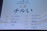 【画像】今年の“新語”大賞ヤバすぎ問題ｗｗｗｗｗ