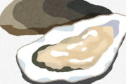 冬の味覚といえばカキですか？