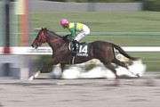 【競馬/マーチS】アスカノロマンの鞍上がおかしなことになってる