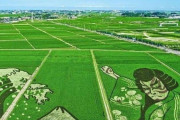 外国人「日本には田んぼアートって文化があると知ってしまった」