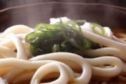 関東人ワイ、讃岐うどんを食すも薄すぎて咽び泣く