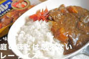 おまえらがカレーに入れてる隠し味は何？