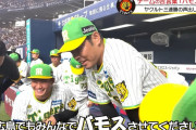 阪神　10連勝中ずっと続いている原口選手の声出し！チーム一丸の合言葉『バモス』