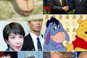 日本「車力の巨人やプーさんみたいに各国のリーダーに似たキャラっている？」