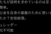 蓮舫「逃げる隠す誤魔化すシュレッダー復元不可能公文書保存なしこれでは安倍支持できない！」 |  蓮舫は国籍とマジコン