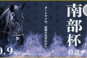 第36回 マイルチャンピオンシップ南部杯 (JpnⅠ)