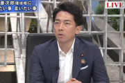 小泉環境相「レジ袋なくすことが目的ではなく有料化をきっかけに問題意識を持ってもらいたい」