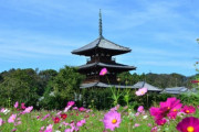 奈良県・法隆寺の駐車場にある植え込み、6世紀後半に作られた古墳と判明 【X】