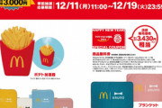 マクドナルドの2024年福袋､事前抽選販売開始 今年の目玉は｢ポテト加湿器｣