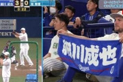細川成也(?) .275(393-108) 17 66 OPS.820