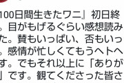 【悲報】100ワニ映画監督、病む