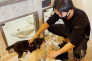【聖人】朝倉未来さん、このタイミングでチャンネル収益を動物愛護団体に寄付したと発表