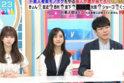 【乃木坂46】横並びになった菅原咲月と田村真子アナ、似てるwww【ラヴィット！】