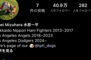 【悲報】大谷、一平のインスタフォローを解除ｗｗｗ