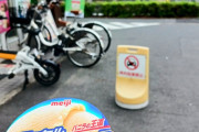200円の高級アイス買ったったw