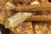 【悲報】フライドチキンからタバコの吸殻が出てきたんだが…