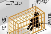 両親「糖質の息子こっわ檻に入れとくか…」