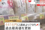 スーパーでのコメの平均価格5キロ4416円 過去最高をまた更新