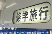 修学旅行の必要性はあるのか？コストと教育効果を検証する