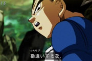 ドラゴンボールで1番勘違いしちゃったキャラってピッコロ？ベジータ？