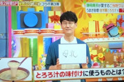 【悲報】南原清隆さん、炎上