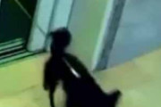 犬がエレベーターから出てきた。すると飼い主が降りる前にドアが閉まってしまう。危ない！ → 先に降りた男が気がついて…