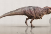 最新のティラノサウルスさん、ちょっと盛り返す