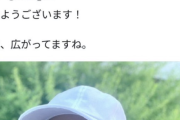 【悲報】蓮舫さん、「不注意です」で済まそうとするも大事になりそう