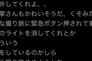 【悲報】良識ある撮り鉄「迷惑撮り鉄、ヤバすぎ。もうやめようかな…」電車アイコン「勝手にやめろよ。」