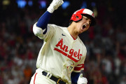 MLB公式の記者、30HR越え選手の奪三振ランキングを発表する