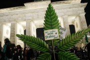 【朗報】ドイツで大麻解禁　市民らお祭り騒ぎ