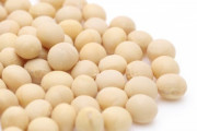 大豆「しょうゆになります、あ、味噌にもなりますよ」