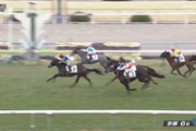 【競馬】遅刻したアークフリゲートが新馬勝ち！