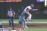 珍プレー好プレーで懐かしの昭和平成ロッテ（乱闘珍編）