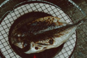 どうして魚を食べなくなったの？魚離れが深刻　消費量が20年で半減