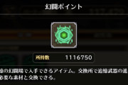 【話題】追憶武器2本目完成で幻闘ポイントこれだけ余ってるんだけど、これってフルで取り切れてるの？