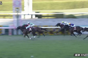 セリフォス、大外ぶんまわしでデイリー杯2歳ステークス快勝