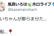 【ホロライブ】すいちゃん風船（機械不使用）のゆくえ…