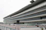 【新型コロナウイルス】緊急事態宣言下で競馬はどうなるのか？