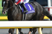 【去年は2着】ダノンプレミアム　川田将雅と天皇賞・秋へ