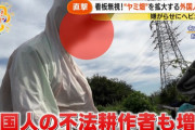 【危険】河川敷で“ヤミ畑”横行…「日本語わからない」外国人の姿も　私有地と国有地の境界が“曖昧”