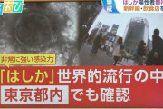 薬剤師「はしかを『1000人に1人が亡くなる病気』と聞いて999人は寝たら治ったと思う人は認識に問題がある」