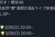 櫻坂46に新番組がｷﾀ━━━━━(ﾟ∀ﾟ)━━━━━!!!!!