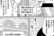 【嘘松】なんだよこの漫画ｗｗｗ【注意】