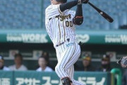 阪神・上本博紀内野手「大学生時代に発症して以来、ずっと戦っています」／花粉症対策