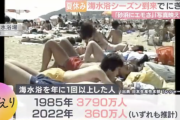 【悲報】 日本人、ガチで海水浴に行かなくなる