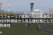 エフフォーリア産駒の短距離適性と種付け料推移から見る種牡馬としての将来性