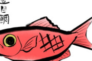 【？？？】静岡県沖で水揚げしたキンメダイを誤って「静岡県産」と伝達 食品表示法違反で沼津我入道漁業協同組合を行政指導
