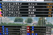 【競馬】着差→1月2日ｗｗｗｗｗｗｗｗ