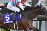 第23回 チャンピオンズカップ（GI）中京 ジュンライトボルトが重賞2連勝 テーオーケインズ馬券圏外に散る